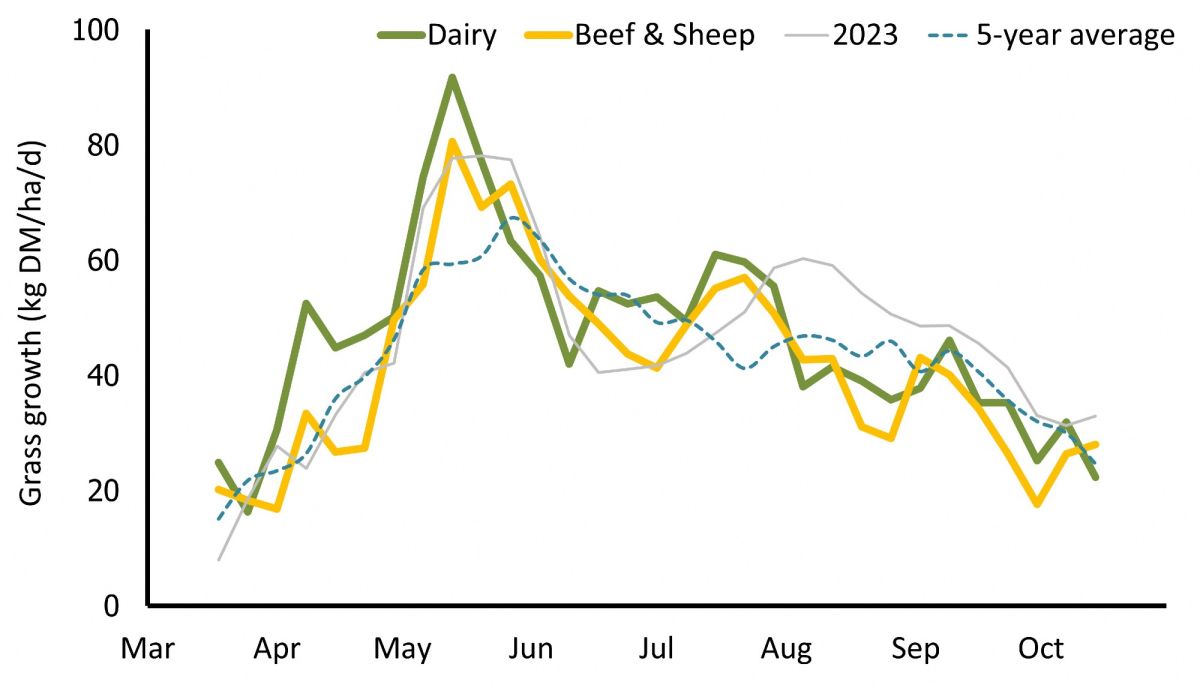 gb graph 2024 10